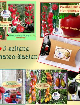 ♥ BIO 5 Seltene und samenfeste Tomaten Saaten,Samen,Tulpenstolz, Raritäten,Nikolaus,Weihnachten,Geschenk,Mitbringsel,Honigtomate,Vesuvio,Rote, Murmel,Elf, Tears - Hamburg