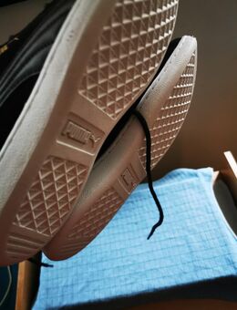 Puma in braun. Neu - München