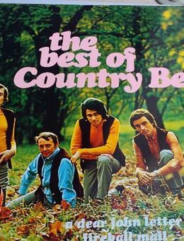 SCHALLPLATTE THE BEST OF COUNTRY BEAT - Berlin Lichtenberg