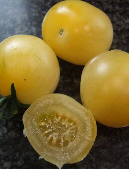 Bendigo Moon - Buschtomate - Stuttgart
