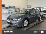 VW Golf, 1.0 TSI VIII Life, Jahr 2024 - Tostedt