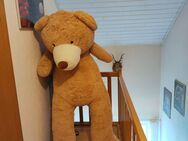Riesen Teddybär 2m - Olpe