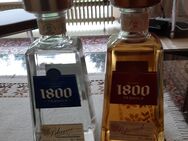 1800Tequila - Blieskastel