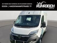 Opel Movano, 2.2 C Kasten HKa L2H2 t Edition Diesel 140 3, Jahr 2023 - Essen