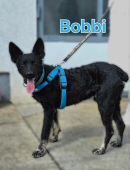 ❤️ Bobbi - Kissing