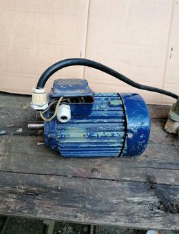 Motor Orpu SK 32/2/3 Gartenpumpe Kreiselpumpe Pumpe - Kirchberg (Sachsen)