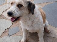 IAN sucht seine zweite Chance - Velbert