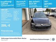 VW Golf, 2.0 TDI VIII Active, Jahr 2021 - Mannheim