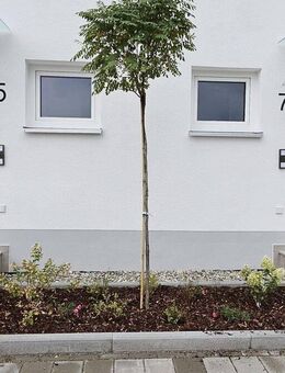Moderne Doppelhaushälfte in Lechhausen - Erstbezug! - Augsburg