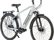Tretwerk E-Bike Trekkingrad Sonic Nexus, 7 Gang, Nabenschaltung, Mittelmotor, 522 Wh, Pedelec, Elektrofahrrad für Damen u. Herren