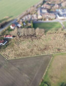 Mehr Land, mehr Freiheit, mehr Leben - Ihr Hof fürs echte Glück! - Vlotho