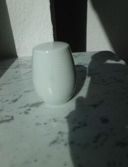 Arzberg Porzellan "Swingline White Sky" Pfefferstreuer 7 cm weiß Vintage 3,- - Flensburg
