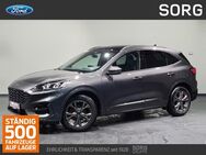 Ford Kuga, 1.5 EcoBoost ST-Line X, Jahr 2024 - Fulda