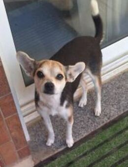 Makrina - von der Straße ins Herz - Mettmann