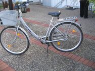Alu Damenfahrrad - Bergkamen