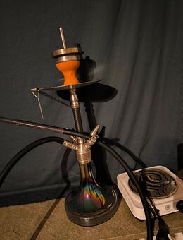 Caesar Shisha - Beverstedt