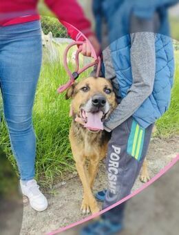 Menschenbezogener DRAKE wartet auf ♥️ - München