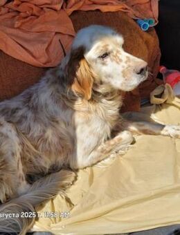 Wallace hofft auf ein besseres Leben - Berlin