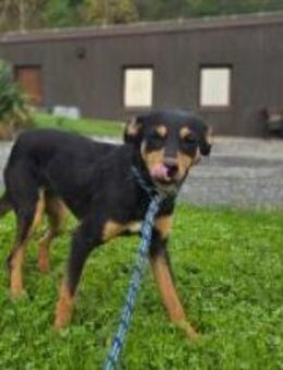 Kleine Malou - Ellerbek