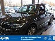 VW Tiguan, 2.0 TDI Life, Jahr 2022 - Blomberg (Nordrhein-Westfalen)