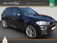 BMW X5 M-Sport /2.Hd/ACC/Memory/AHK/Adapt.FW. - Dresden