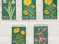 DDR_Briefmarken_Geschützt_Pflanzen (1)  [376] - Hamburg