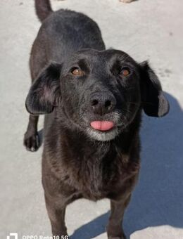 NISHA❤️ träumt von ihrer eigenen Familie - Fahrenzhausen