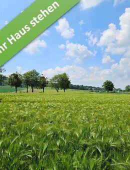 Für alle, die es großzügig lieben. Ihr Familienhaus in Bennigsen. - Springe