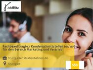 Fachbeauftragte:r Kundenschnittstellen (m/w/d) für den Bereich Marketing und Vertrieb - Stuttgart