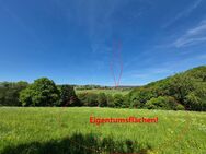 Landwirtschaftliches Anwesen mit ca. 81,5 ha Land und diversen Gebäuden/Optionen - Veitsrodt