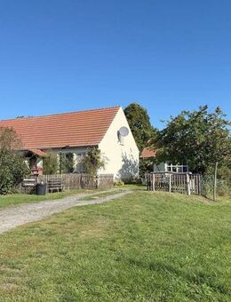 Ein Traum für Mensch und Pferd mit Reitplatz und Weidefläche - Neuhardenberg