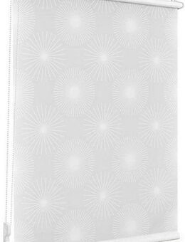 Seitenzugrollo Rollo Klemmfix, ohne Bohren, blickdicht - Ausbrenner, LICHTBLICK ORIGINAL, blickdicht, freihängend, Klemmfix