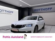 Skoda Octavia, 1.4 TSI Combi Drive BusinessPaket, Jahr 2017 - Hamm