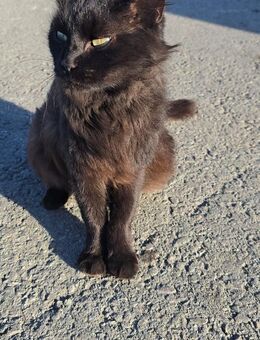 Mora - Lady in Black - Kirchheim (München)