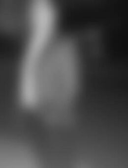 Sve*** - Flörsheim (Main)