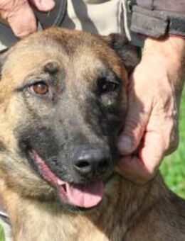 Lalina - sehr kinderlieb u. aufgeweckt - Lohra