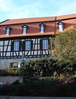 Ideales Objekt für Liebhaber historischer Bausubstanz, mit Ausbaumöglichkeiten! - Oppenheim