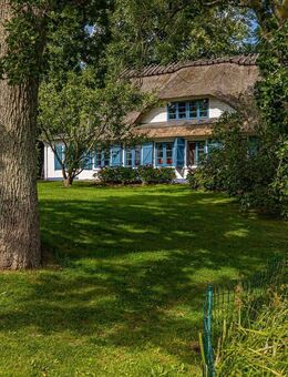 Reetdachanwesen auf großem, parkähnlichem Naturgrundstück in Alleinlage. - Mohrkirch