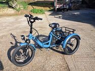 Dreirad- eBike - Mettmann