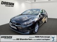 Kia cee'd, 1.5 Vision T 140, Jahr 2024 - Neuss