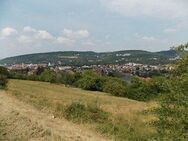 **Exklusiver Bauplatz mit unverbaubarer Aussicht auf das Taubertal** - Bad Mergentheim