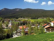 *** Vorankündigung *** Gemütliches 1-Zimmer Apartment im Herzen des Lamer Winkel - Arberland - Lohberg