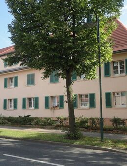 Kleine Oase - 1-Raum Wohnung im Dachgeschoss mit eigenem Gartenabteil - Lauta