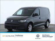 VW Caddy, 2.0 TDI Maxi Cargo | | |, Jahr 2024 - Plattling