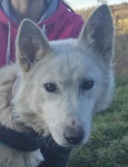 Wundervolle ADRIENA - Gefrees