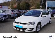 VW Golf, 1.4 TSI VII CUP, Jahr 2014 - Schopfheim