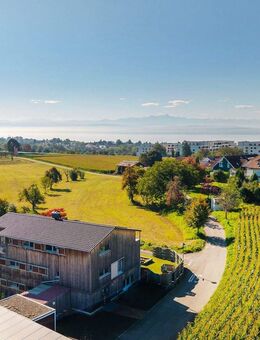 Naturnah Wohnen - Modernes Dreifamilienhaus mit Seeblick - Daisendorf
