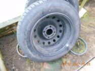 4 Winterreifen 165/70 R 14 31 T. - Harzgerode Dankerode