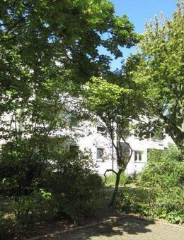 Renovierte 3 Zimmer und das Ganze richtig schön! - Dortmund
