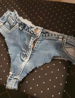 Jeans Shorts - Köln